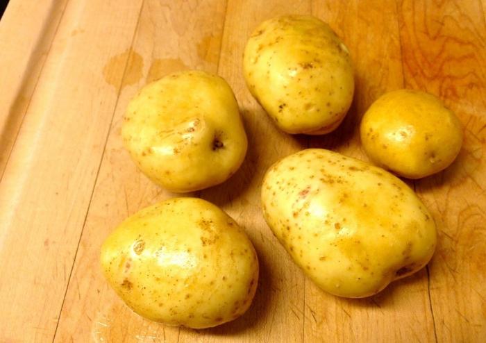 цветы картофеля
