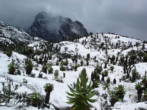 where to find snow in africa