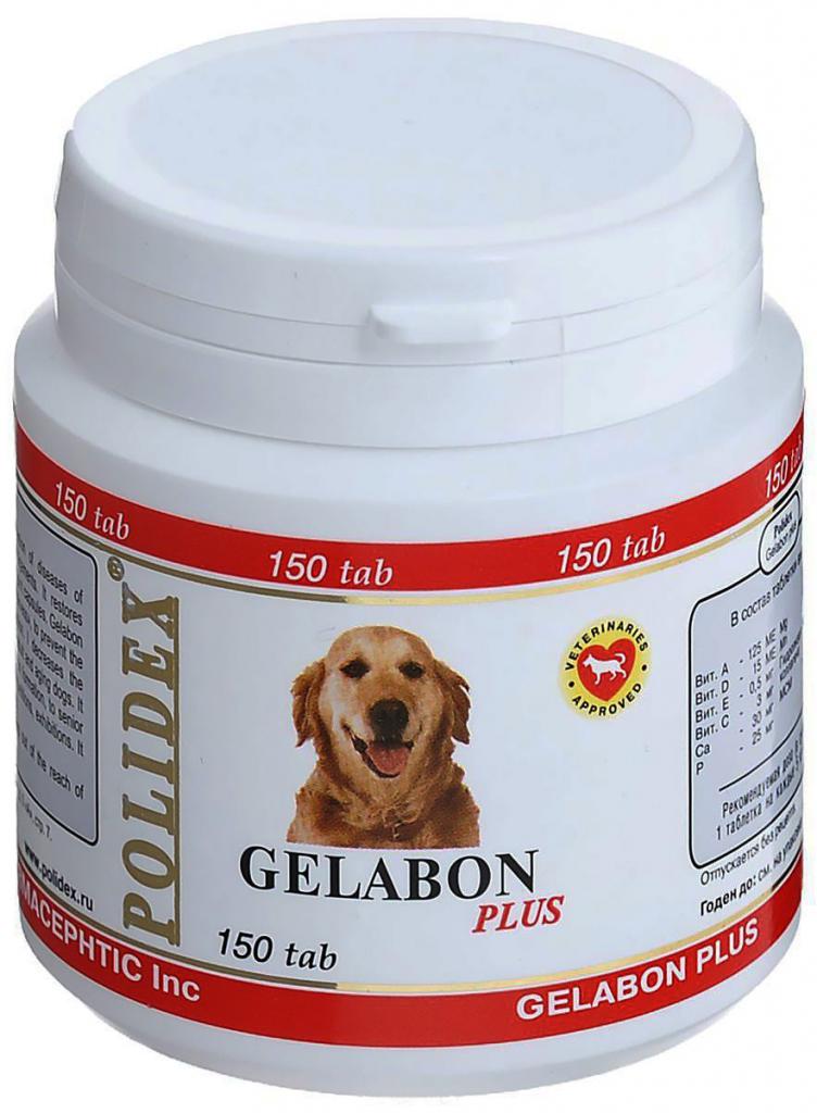полидекс витамины для собак