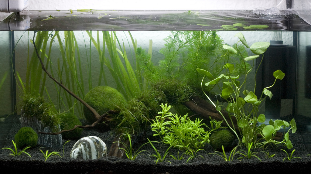 internal aquarium filter