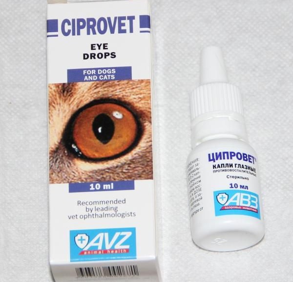 "Tsiprovet" drops for cats