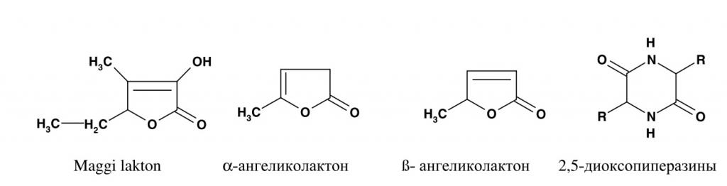 The main components of protein hydrolysates