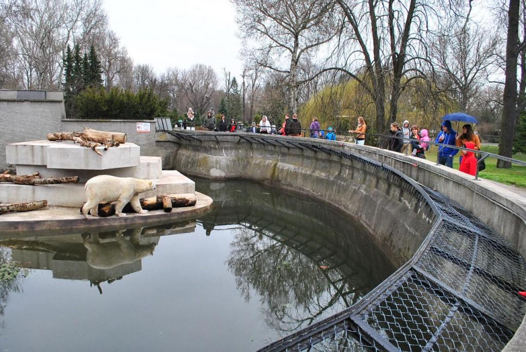 Варшавский зоопарк жабинский сейчас фото 2020