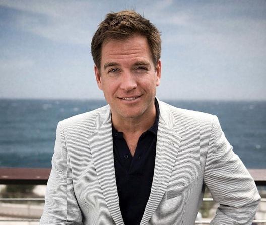 michael weatherly