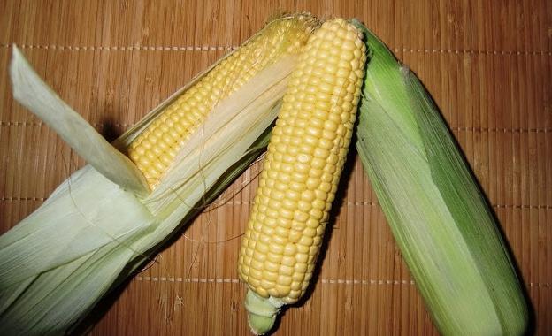 сколько времени варить початок кукурузы