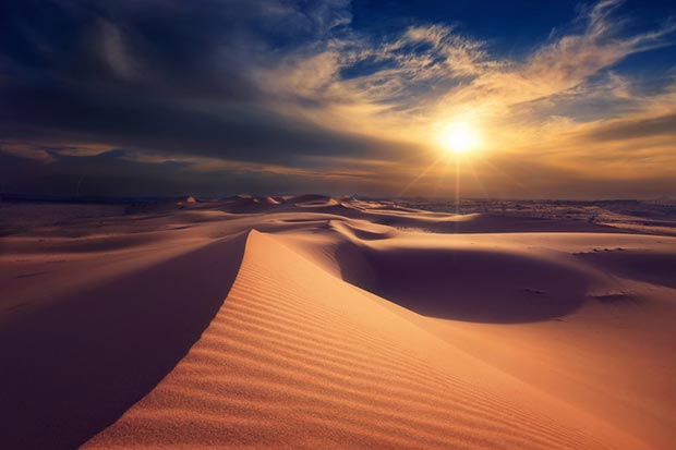 пустыня солнце