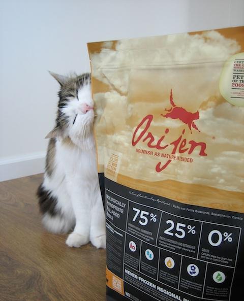 orijen cat food