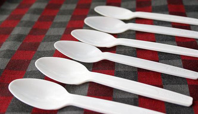 craft from disposable spoons