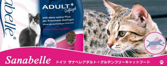 dry cat food bosch