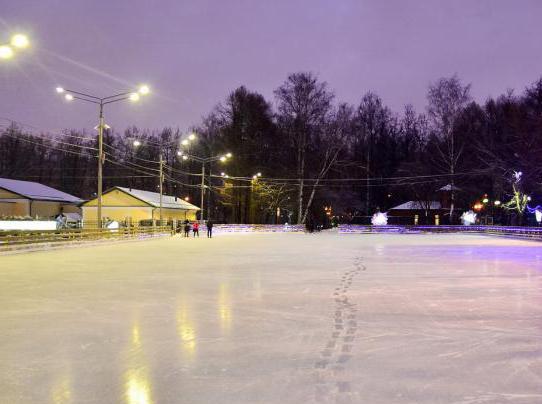 free indoor skating rinks in Moscow