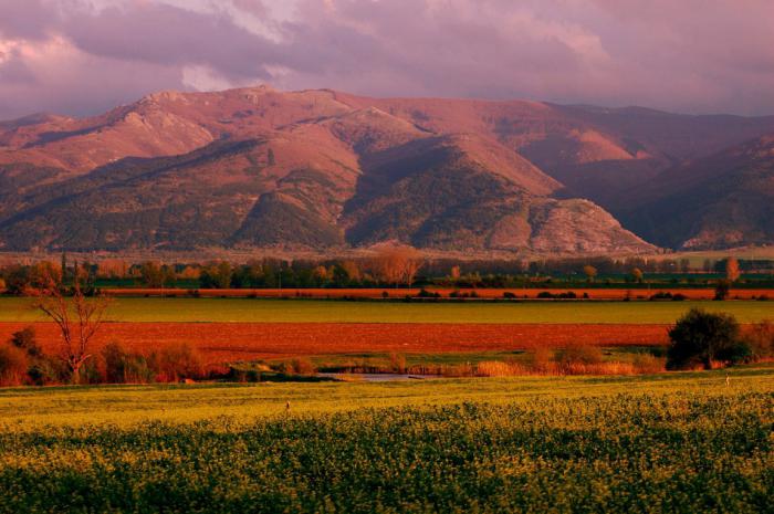 Долина роз судак фото