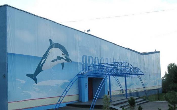 ярославский дельфинарий цены