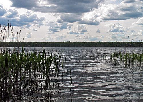 rest on the lake near Moscow