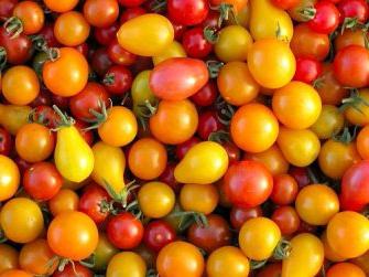 cherry tomatoes recipes