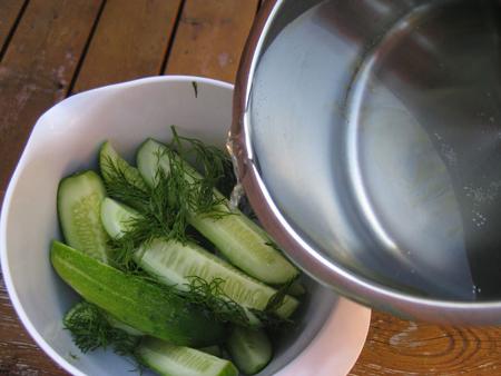 a simple recipe for pickled cucumbers