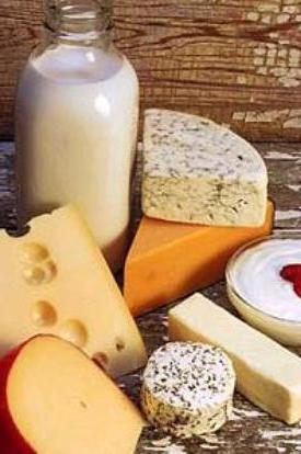 list of dairy products