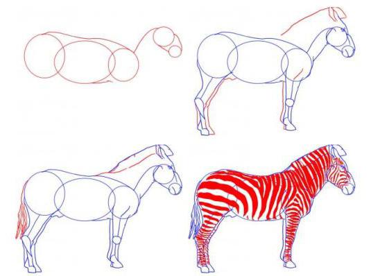 how to draw a zebra in pencil