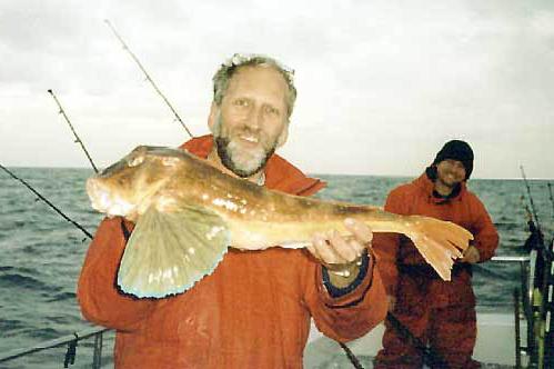 морской петух рыба