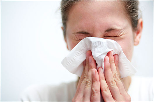 Лечить насморк путем прогревания носа