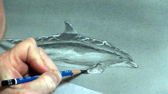 как нарисовать дельфина карандашом