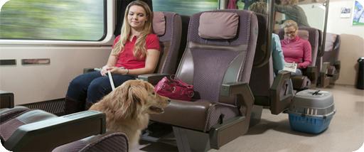 правила провоза собак в поезде