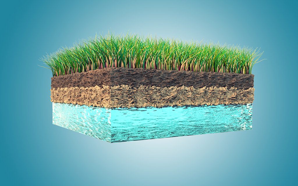 Types of water regime of the soil