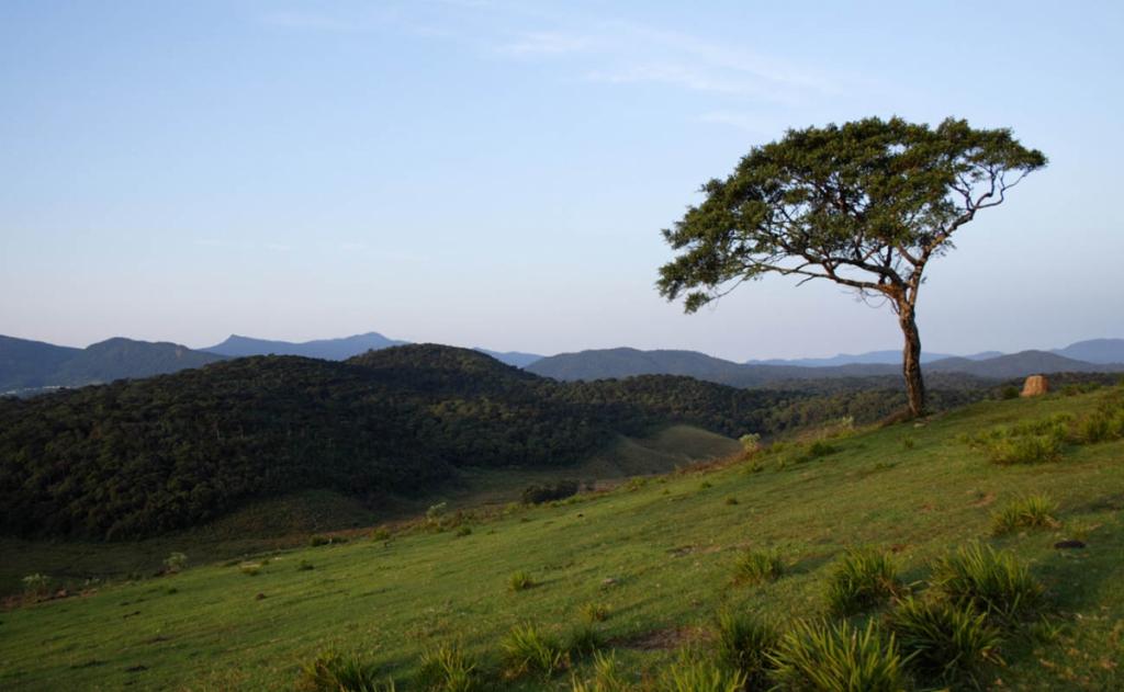 Horton Plateau