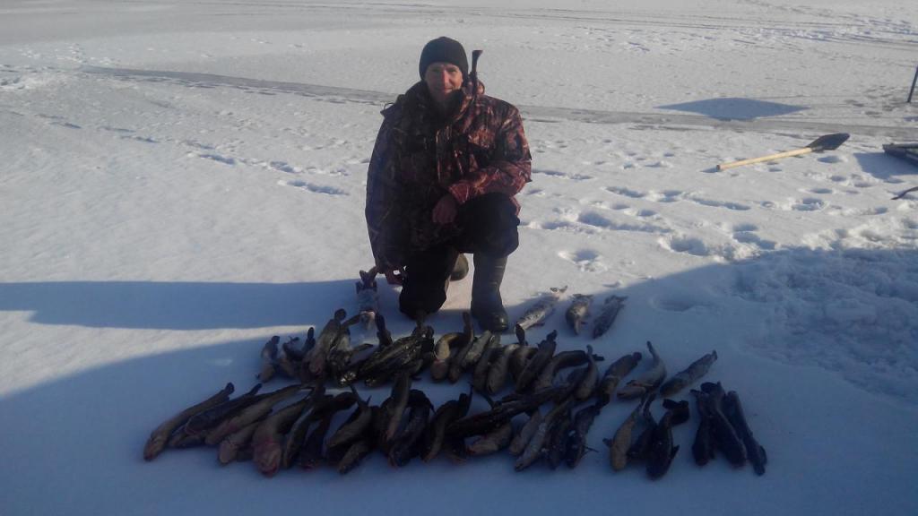 Рыбалка на Бурейском водохранилище