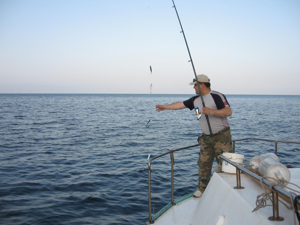 Рыбалка в Севастополе и его окрестностях
