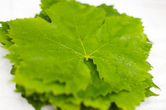 виноградные листья калорийность польза и вред