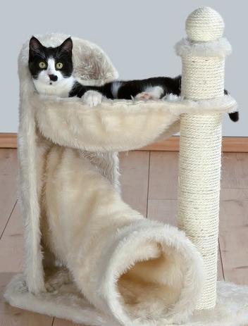 cat house with scratching post