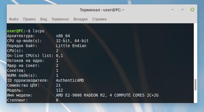 User terminal. Lscpu. Узнать на линуксе частоту процессора. Lscpu Virtualization Type.