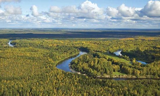 Западно-Сибирская равнина климат