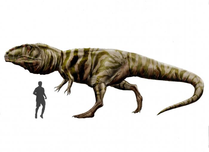 Самый крупный хищный динозавр