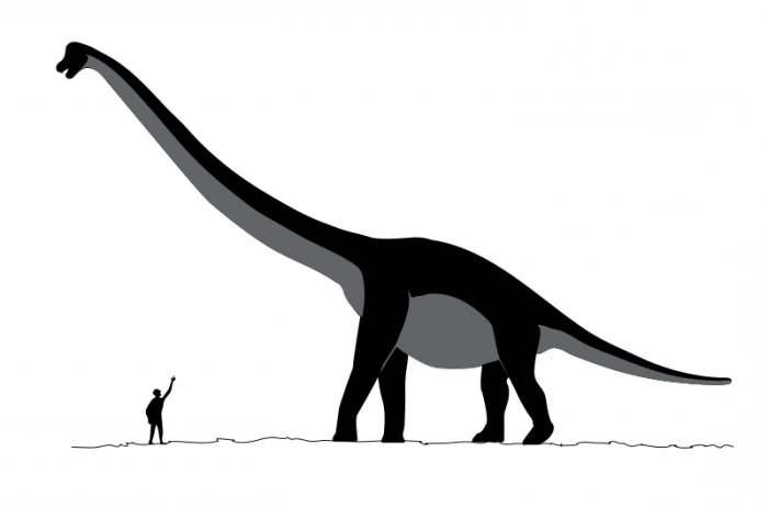 Самые большие динозавры