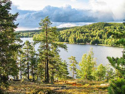 summary of the story Vasyutkino Lake