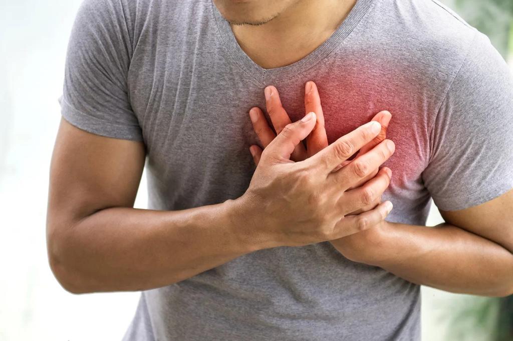 физиологические свойства сердечной мышцы