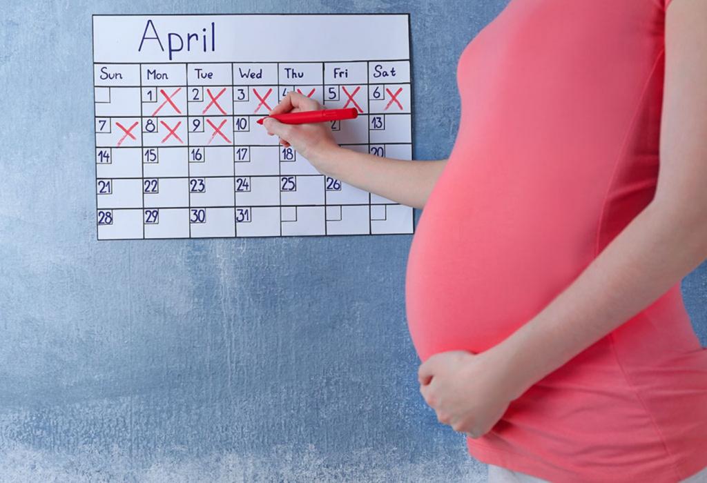 рассчитать срок беременности