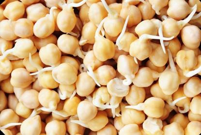 chickpeas how to cook