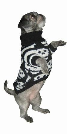как связать свитер для собаки