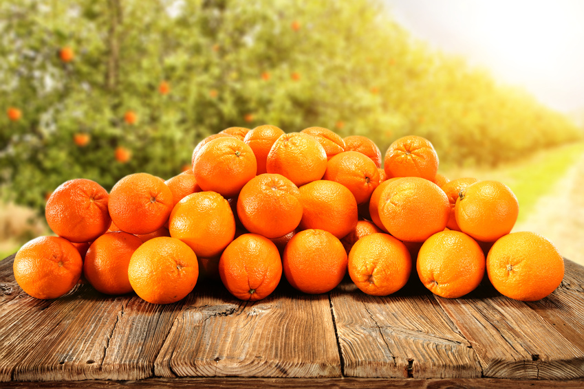 Апельсины для Куантро