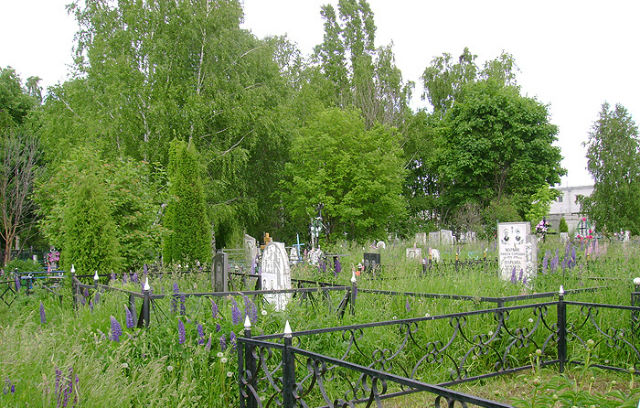 шереметьевское кладбище