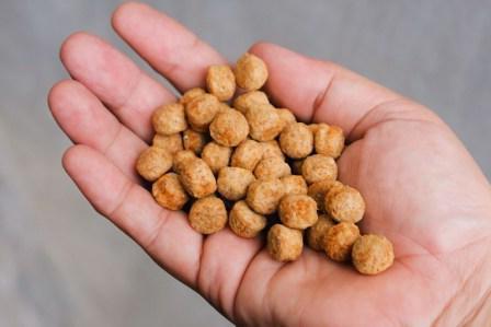 Hills dry food for large breed puppies