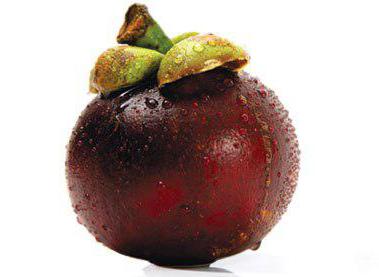 mangosteen reviews