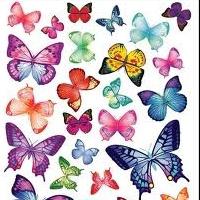 живые бабочки