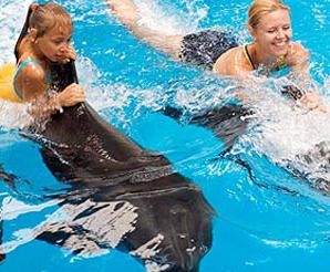 дельфинарий купание с дельфинами