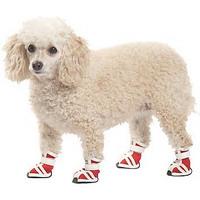 ботинки для собаки