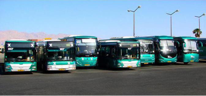 от тель авива до иерусалима на автобусе 