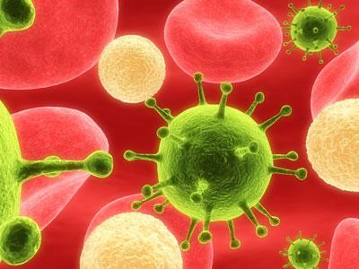 как отличить вирусную инфекцию от бактериальной у ребенка по анализу крови 