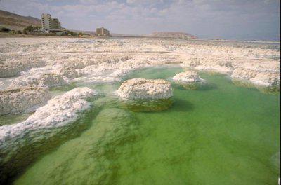 почему мертвое море называется мертвым 